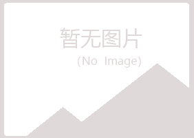 江西晓夏采矿有限公司